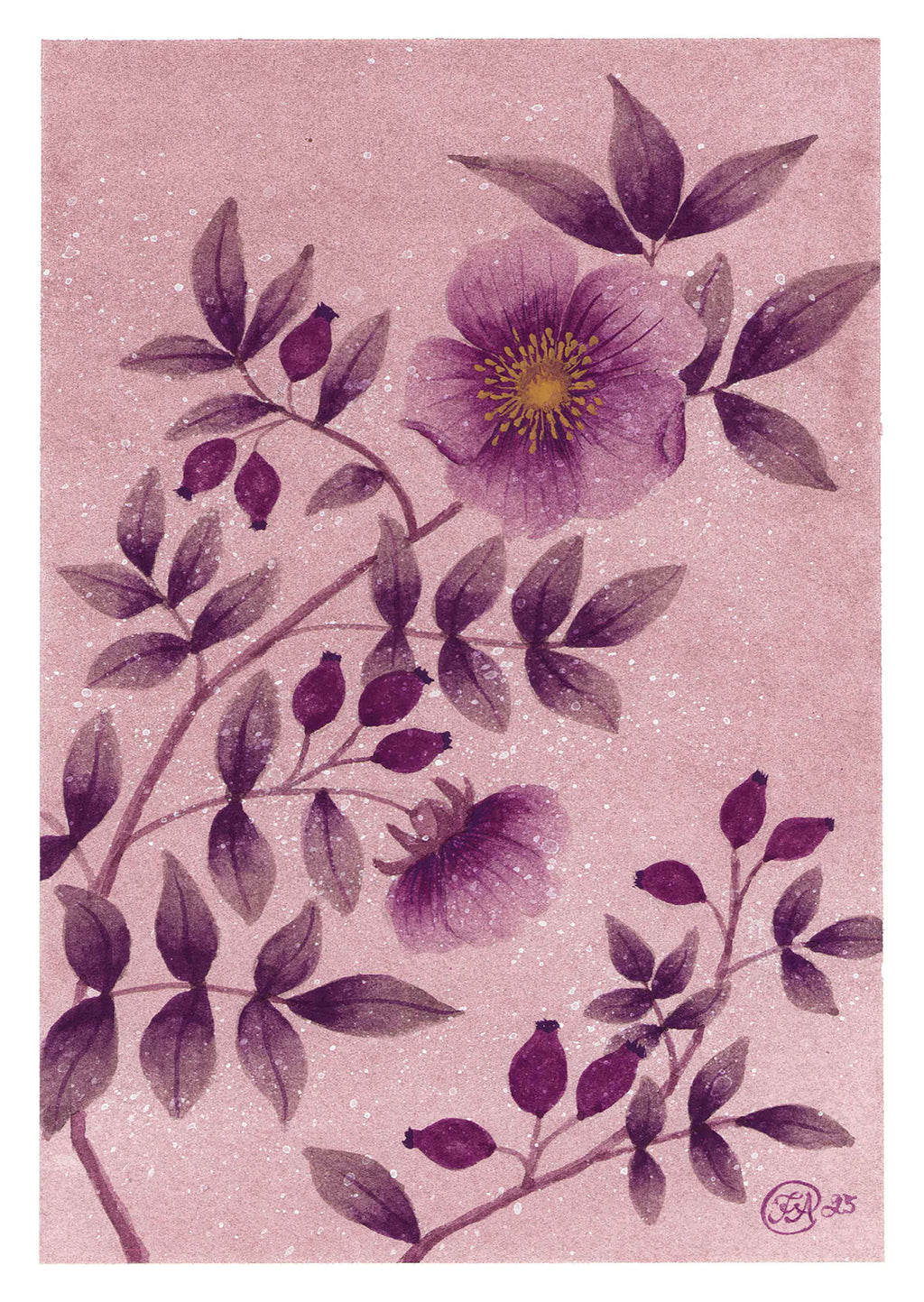 Midnattsrosor - Blomsterillustration – Poster