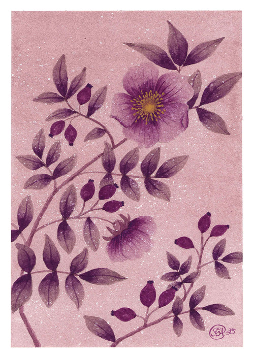 Midnattsrosor - Blomsterillustration – Poster
