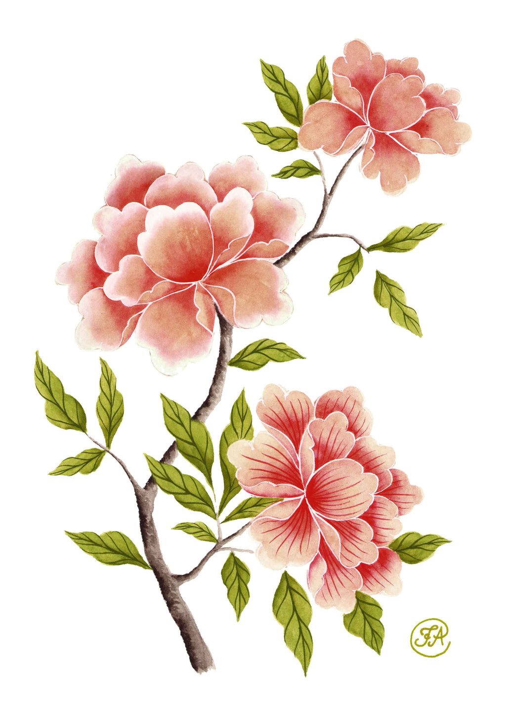 Pioner - Blomsterillustration – Poster