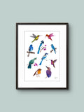 10 little birds - Fågel - Poster