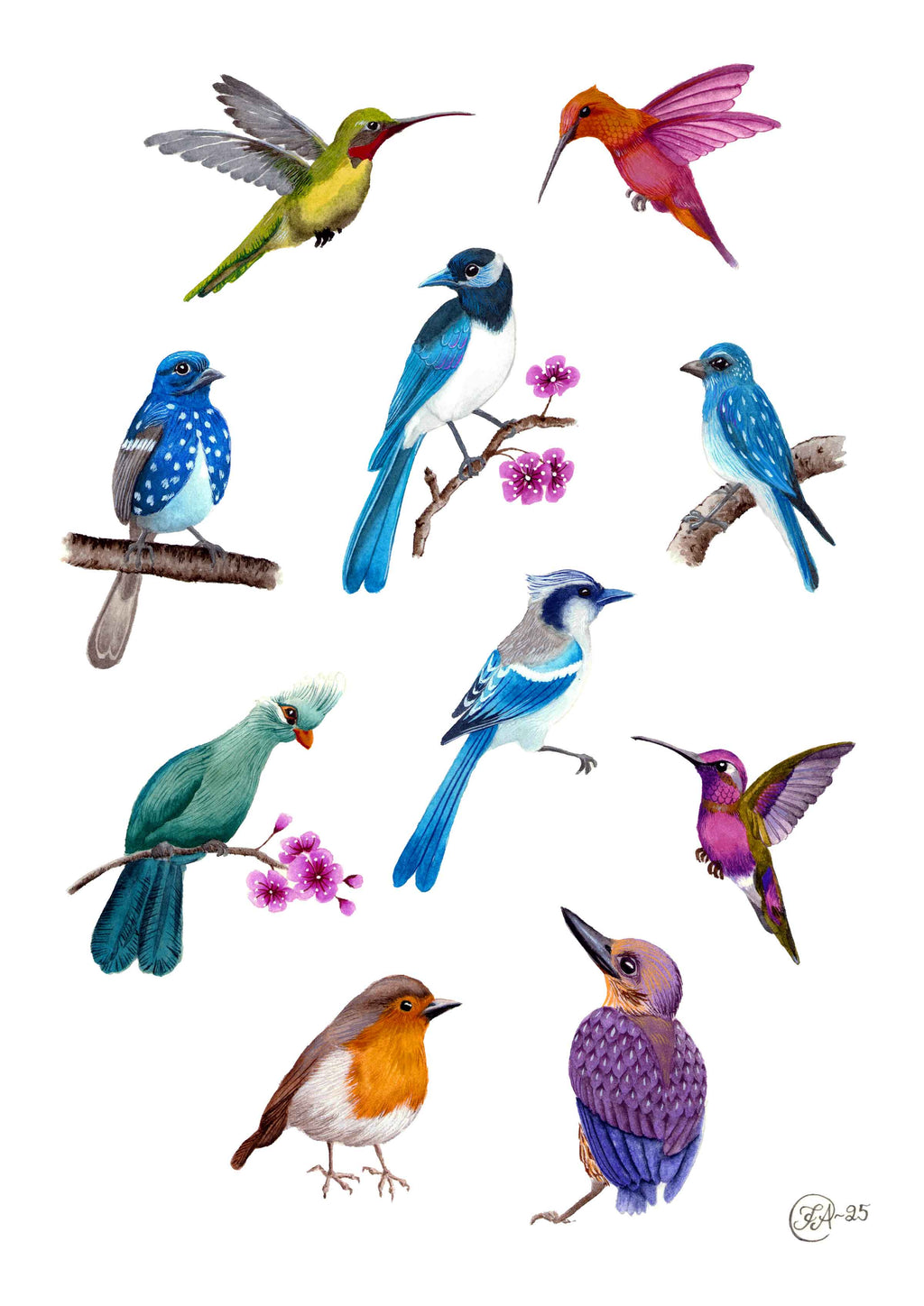 10 little birds - Fågel - Poster